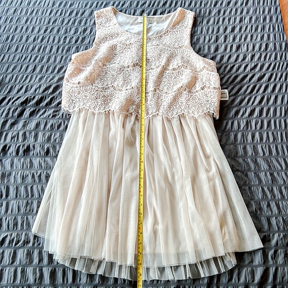 Forever 21 Plus Blush Lace and Tulle Sleeveless Party Dress Juniors Plus Sz 1X - Picture 13 of 16